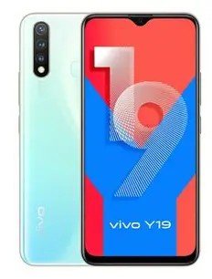 Y19